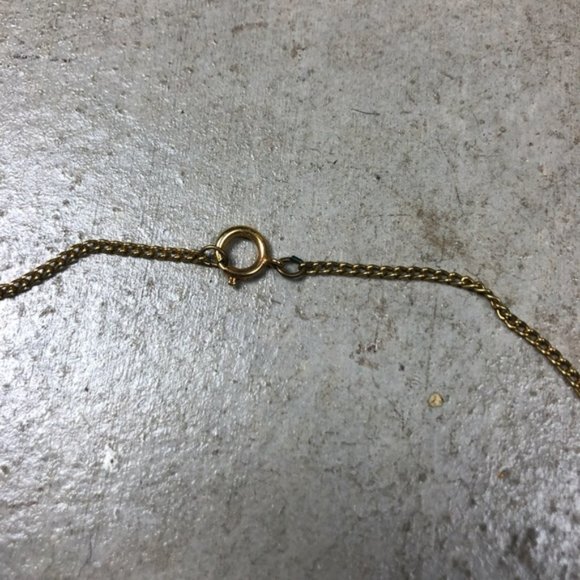 Lizard Queenz Closet - Picture 5 of 5